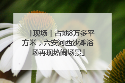 现场｜占地8万多平方米，六安河西沙滩浴场再现热闹场景