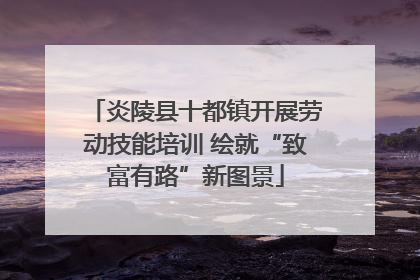 炎陵县十都镇开展劳动技能培训 绘就“致富有路”新图景