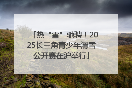热“雪”驰骋！2025长三角青少年滑雪公开赛在沪举行
