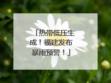 热带低压生成！福建发布暴雨预警！