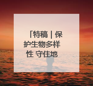 特稿｜保护生物多样性 守住地球多样美
