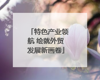 特色产业领航 绘就外贸发展新画卷