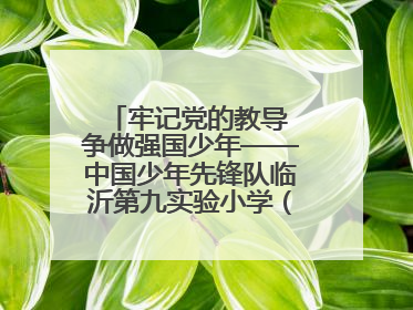 牢记党的教导 争做强国少年——中国少年先锋队临沂第九实验小学（北校区）第三次代表大会胜利召开