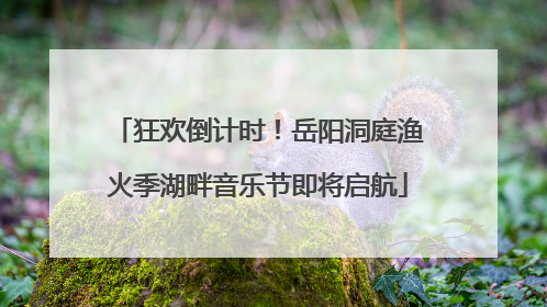狂欢倒计时！岳阳洞庭渔火季湖畔音乐节即将启航