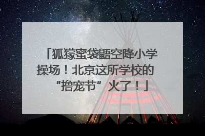 狐獴蜜袋鼯空降小学操场！北京这所学校的“撸宠节”火了！