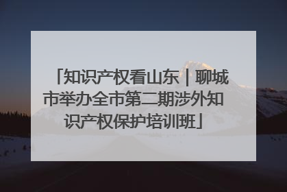 知识产权看山东｜聊城市举办全市第二期涉外知识产权保护培训班