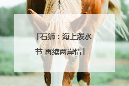 石狮：海上泼水节 再续两岸情