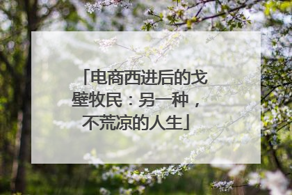 电商西进后的戈壁牧民：另一种，不荒凉的人生