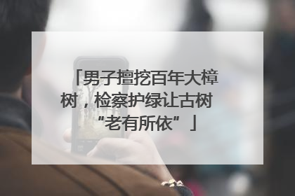 男子擅挖百年大樟树，检察护绿让古树“老有所依”