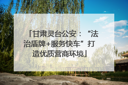 甘肃灵台公安：“法治盾牌+服务快车”打造优质营商环境