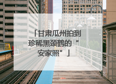 甘肃瓜州拍到珍稀黑颈鹤的“安家照”