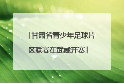 甘肃省青少年足球片区联赛在武威开赛