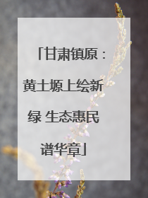 甘肃镇原：黄土塬上绘新绿 生态惠民谱华章