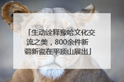 生动诠释豫哈文化交流之美，800余件新疆新瓷在平顶山展出