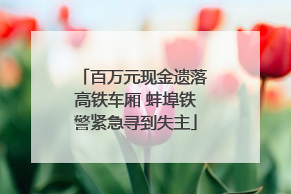 百万元现金遗落高铁车厢 蚌埠铁警紧急寻到失主
