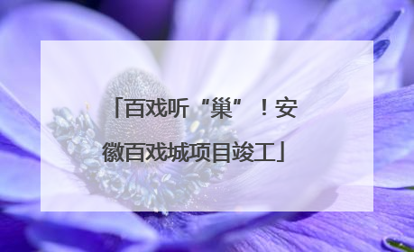 百戏听“巢”！安徽百戏城项目竣工