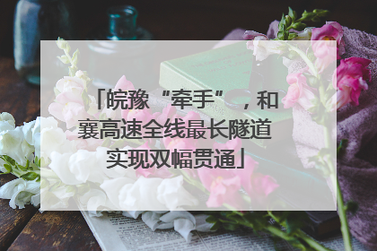 皖豫“牵手”，和襄高速全线最长隧道实现双幅贯通