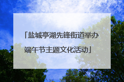 盐城亭湖先锋街道举办端午节主题文化活动