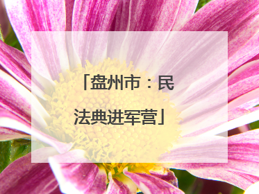 盘州市：民法典进军营