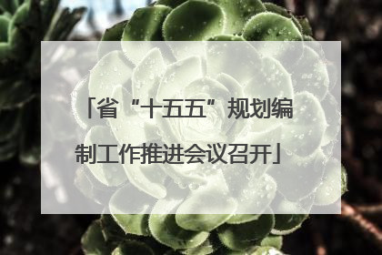 省“十五五”规划编制工作推进会议召开
