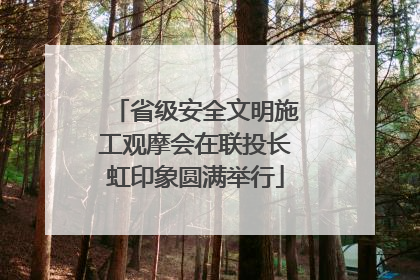 省级安全文明施工观摩会在联投长虹印象圆满举行