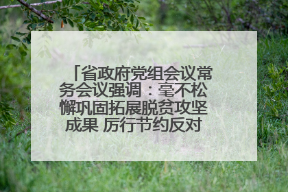 省政府党组会议常务会议强调：毫不松懈巩固拓展脱贫攻坚成果 厉行节约反对浪费弘扬优良作风