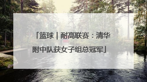 篮球｜耐高联赛：清华附中队获女子组总冠军