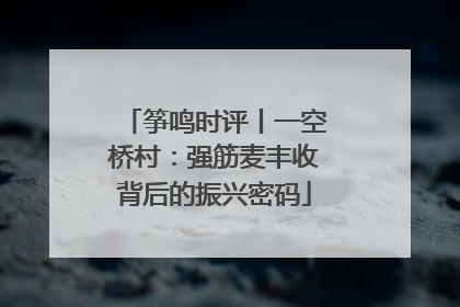 筝鸣时评丨一空桥村：强筋麦丰收背后的振兴密码