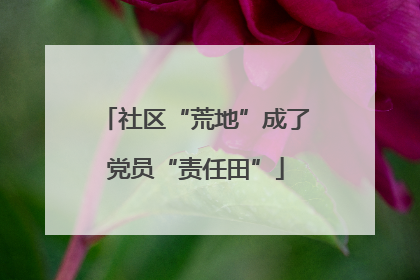 社区“荒地”成了党员“责任田”