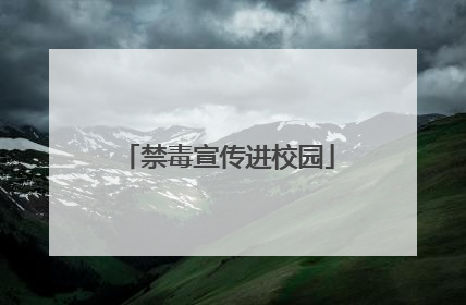 禁毒宣传进校园