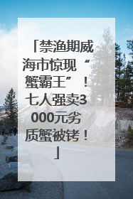 禁渔期威海市惊现“蟹霸王”！七人强卖3000元劣质蟹被铐！