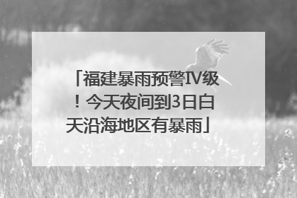 福建暴雨预警Ⅳ级！今天夜间到3日白天沿海地区有暴雨