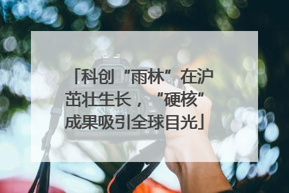 科创“雨林”在沪茁壮生长，“硬核”成果吸引全球目光
