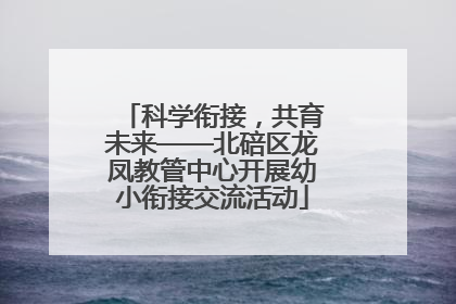 科学衔接，共育未来——北碚区龙凤教管中心开展幼小衔接交流活动