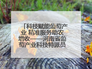 科技赋能葡萄产业 精准服务助农增收——河南省葡萄产业科技特派员服务团太康县科技服务纪实