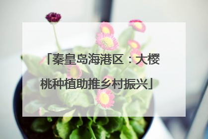 秦皇岛海港区：大樱桃种植助推乡村振兴