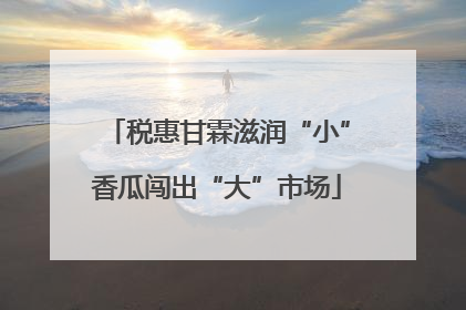 税惠甘霖滋润“小”香瓜闯出“大”市场