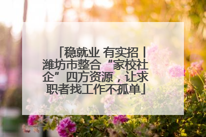 稳就业 有实招丨潍坊市整合“家校社企”四方资源，让求职者找工作不孤单