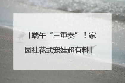 端午“三重奏”！家园社花式宠娃超有料