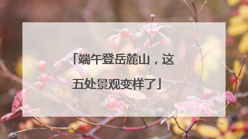 端午登岳麓山，这五处景观变样了
