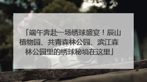端午奔赴一场绣球盛宴！辰山植物园、共青森林公园、滨江森林公园里的绣球秘境在这里
