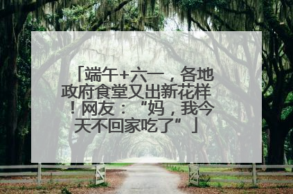 端午+六一，各地政府食堂又出新花样！网友：“妈，我今天不回家吃了”