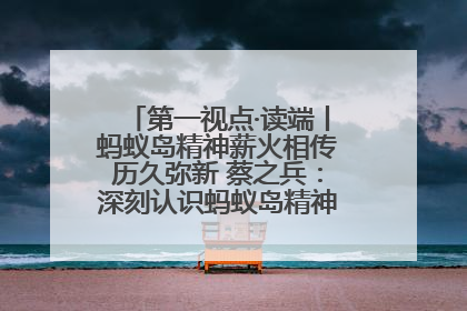 第一视点·读端丨蚂蚁岛精神薪火相传历久弥新 蔡之兵：深刻认识蚂蚁岛精神的“精气神”