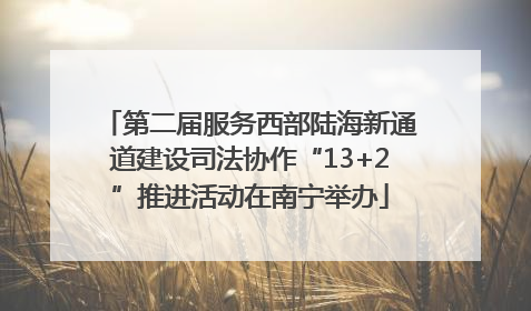 第二届服务西部陆海新通道建设司法协作“13+2”推进活动在南宁举办