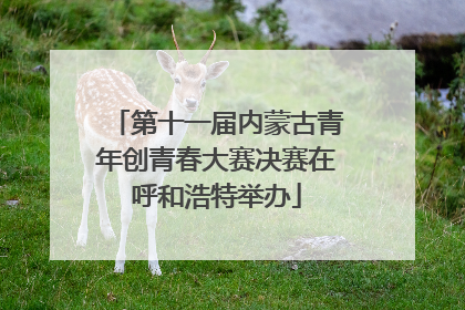 第十一届内蒙古青年创青春大赛决赛在呼和浩特举办