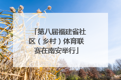 第八届福建省社区（乡村）体育联赛在南安举行