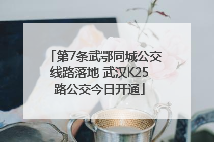 第7条武鄂同城公交线路落地 武汉K25路公交今日开通