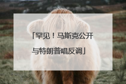 罕见！马斯克公开与特朗普唱反调