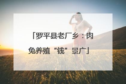 罗平县老厂乡：肉兔养殖“钱”景广