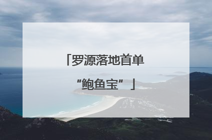 罗源落地首单“鲍鱼宝”